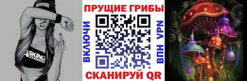 закладки  Электрогорск  hydra зеркало  Псилоцибиновые грибы прущие грибы 